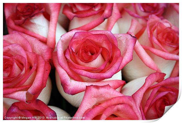Pink-Tipped Roses Print by Megan Winder