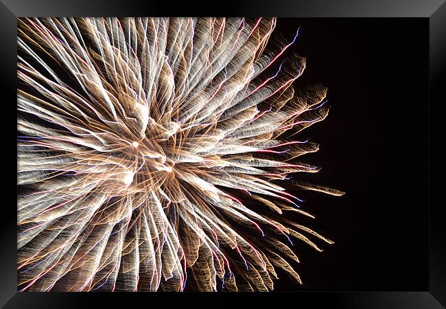 fireworks Framed Print by Fred Walters