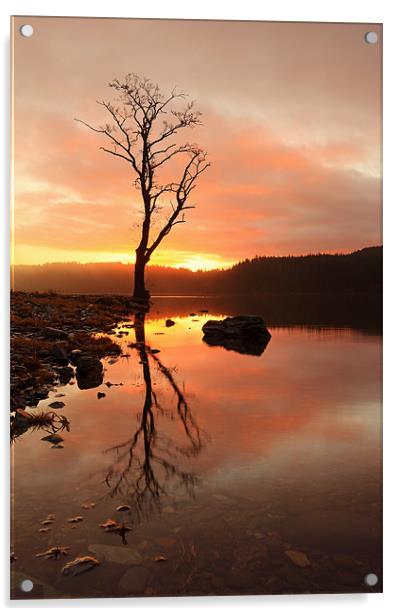 Loch Ard Sunrise Acrylic by Grant Glendinning