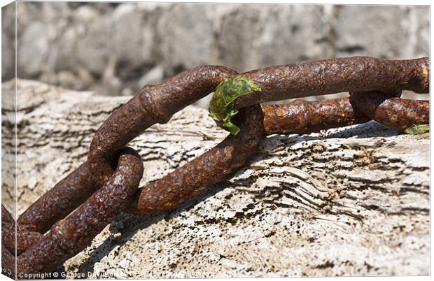 Chained Canvas Print by George Davidson