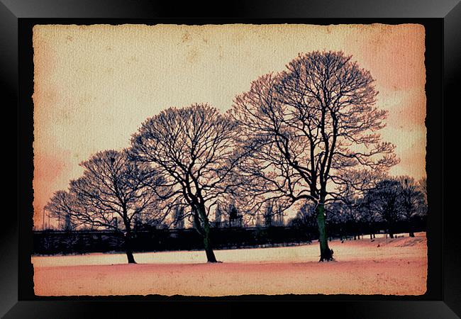 Winter arts in my park.. Framed Print by Nadeesha Jayamanne