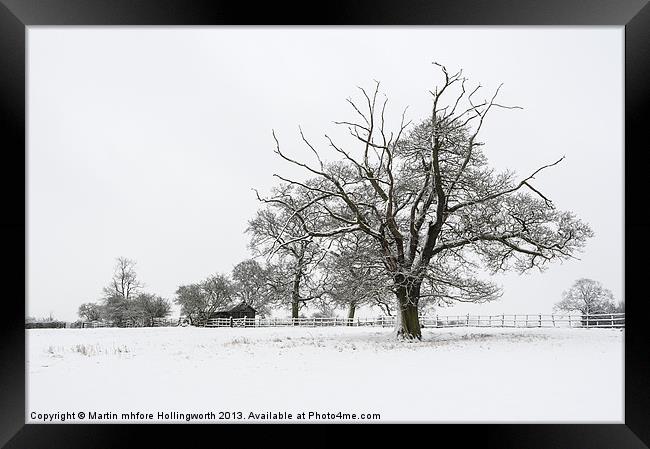 Branching Out Framed Print by mhfore Photography