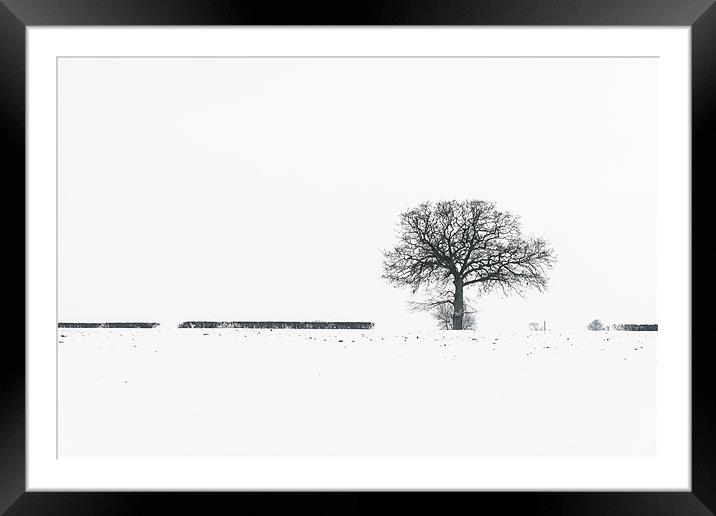 Lonely tree Framed Mounted Print by Stephen Mole