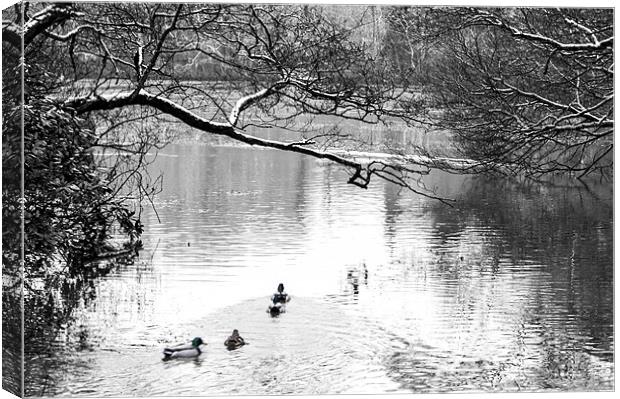 winters pond Canvas Print by keith sutton