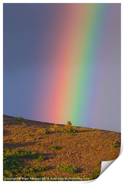 Rainbow Print by Nigel Atkinson