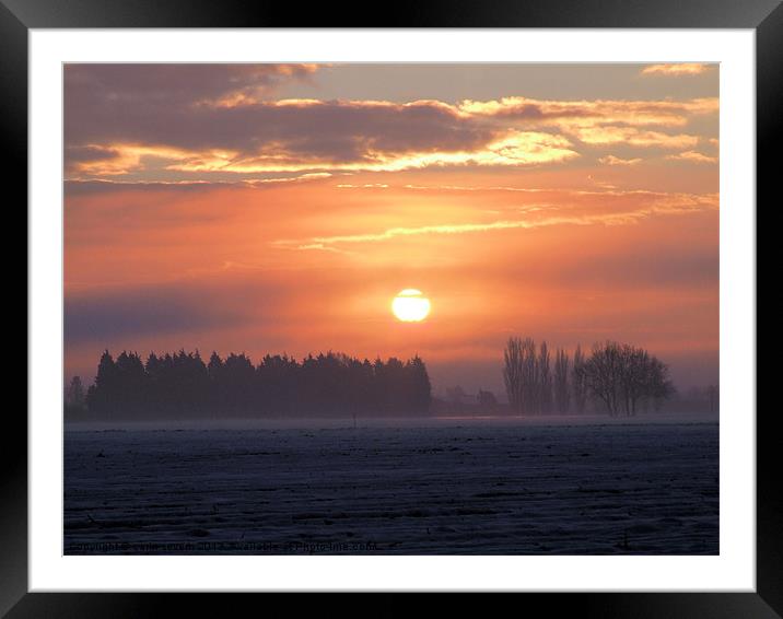 winter morning Framed Mounted Print by carin severn