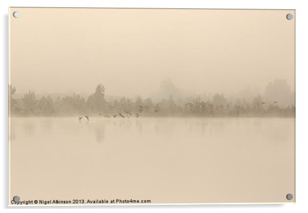 Misty Arrival Acrylic by Nigel Atkinson