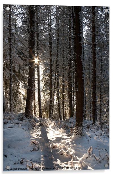 Winter Sunrise Acrylic by David Tinsley