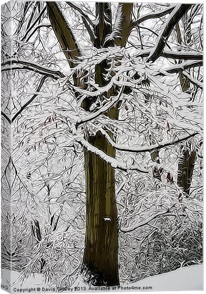 Snowy Beech Abstract Canvas Print by David Tinsley