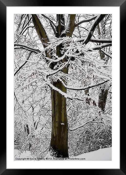 Snowy Beech Abstract Framed Mounted Print by David Tinsley