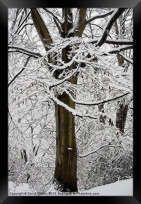 Snowy Beech Abstract Framed Print by David Tinsley
