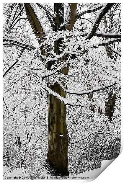 Snowy Beech Abstract Print by David Tinsley