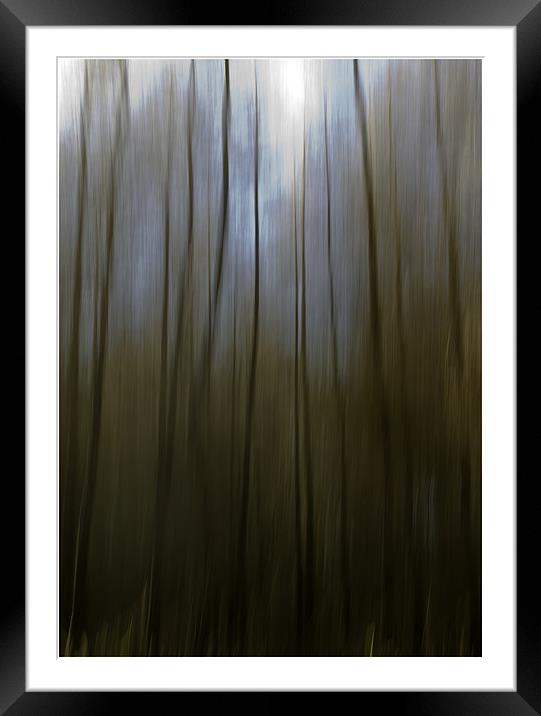 Woodland Blur Framed Mounted Print by Nigel Jones