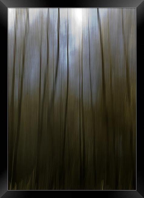 Woodland Blur Framed Print by Nigel Jones