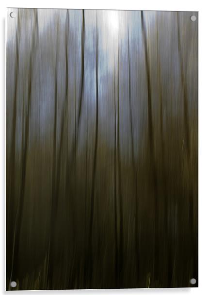 Woodland Blur Acrylic by Nigel Jones