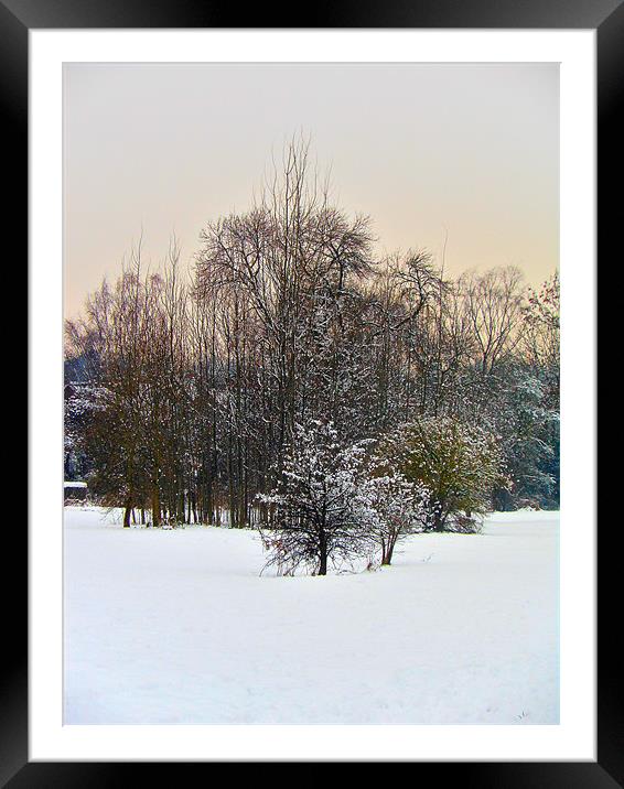 Snow view Framed Mounted Print by caren chapman