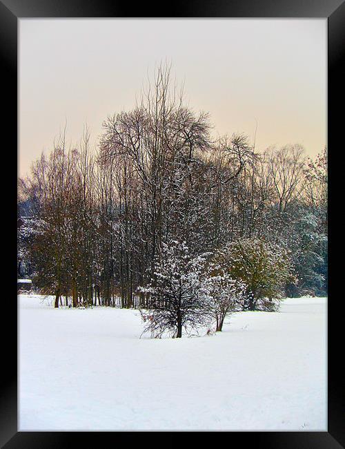 Snow view Framed Print by caren chapman