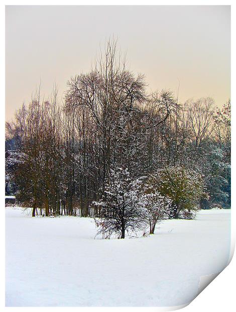 Snow view Print by caren chapman