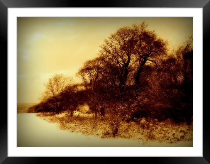 winter woods Framed Mounted Print by dale rys (LP)