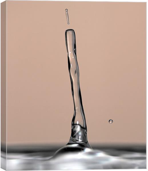 Water Droplet Canvas Print by Mike Gorton