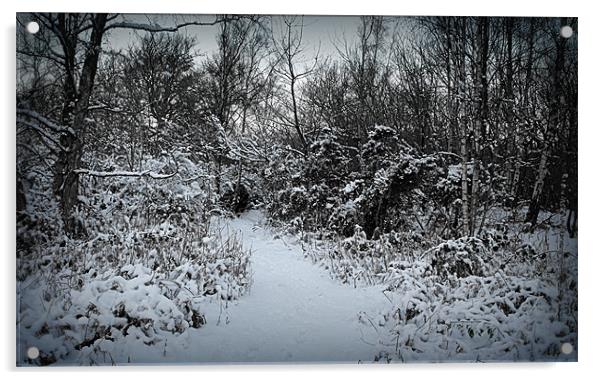 winter wonderland Acrylic by dale rys (LP)