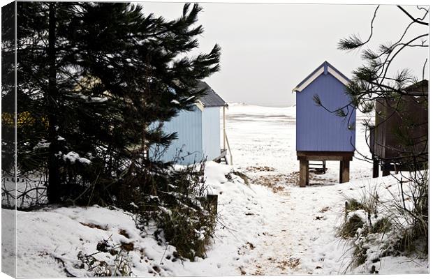 A Snowy Scene at Wells Canvas Print by Paul Macro
