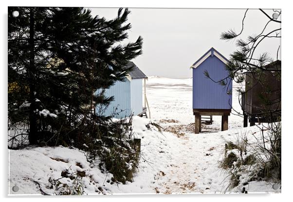 A Snowy Scene at Wells Acrylic by Paul Macro