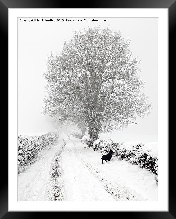 Winter Lane Framed Mounted Print by RSRD Images 