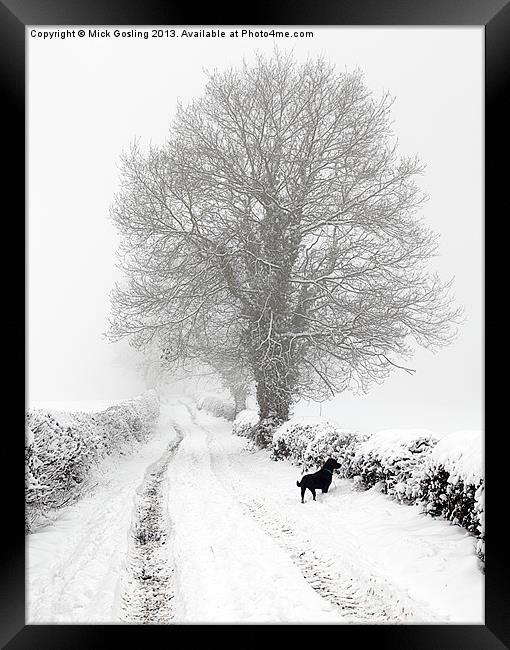 Winter Lane Framed Print by RSRD Images 