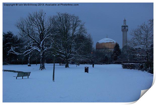 Regents Park in Winter Print by Iain McGillivray