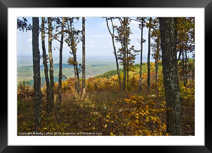 Talimena Scenic Drive Framed Mounted Print by Betty LaRue