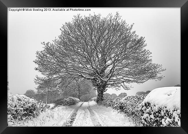 Snowy farm lane and tree Framed Print by RSRD Images 