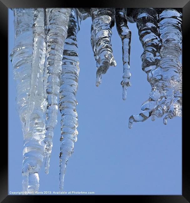 Clear blue sky with Icicles Framed Print by Avril Harris