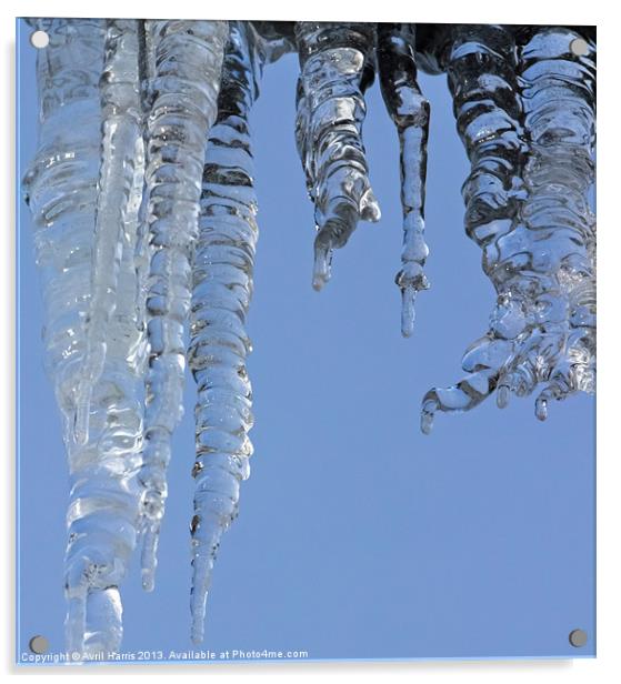 Clear blue sky with Icicles Acrylic by Avril Harris