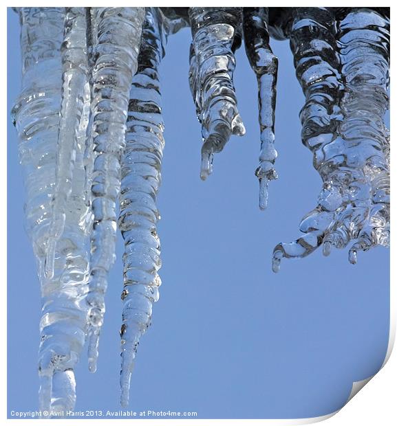 Clear blue sky with Icicles Print by Avril Harris