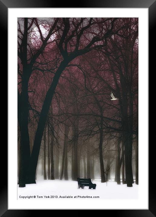 A LONELY WINTER DAY Framed Mounted Print by Tom York