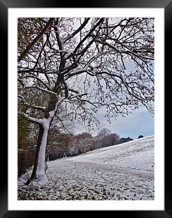 Winter Wonderland. Framed Mounted Print by Becky Dix