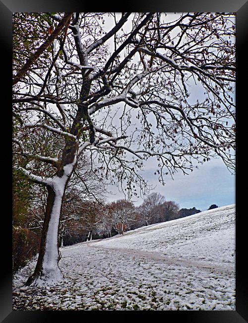 Winter Wonderland. Framed Print by Becky Dix