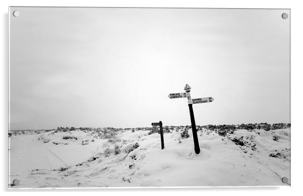 Sign posts in the Snow Acrylic by Mike Gorton