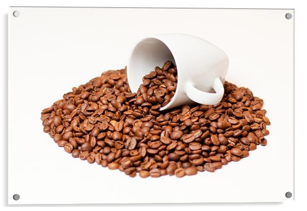 Coffee Beans in a White Mug Acrylic by Andrew Berry