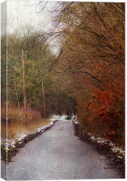 A Country lane Canvas Print by Dawn Cox