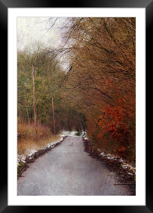 A Country lane Framed Mounted Print by Dawn Cox