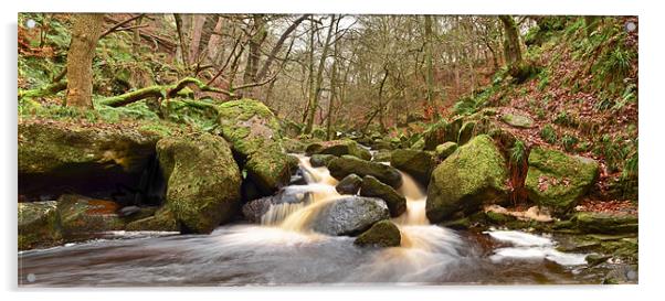 Padley Gorge Panorama Acrylic by Tom Reed