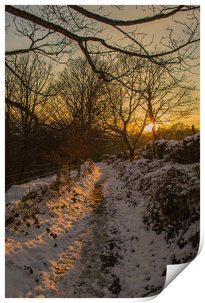 Snowy Lane Print by Phil Tinkler