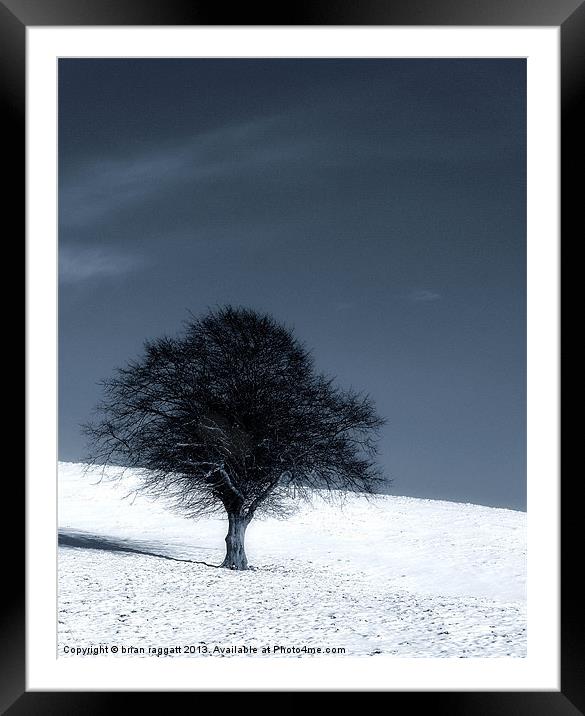 Left out in the Cold Framed Mounted Print by Brian  Raggatt