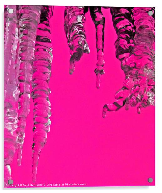 Hot Pink Icicles Acrylic by Avril Harris