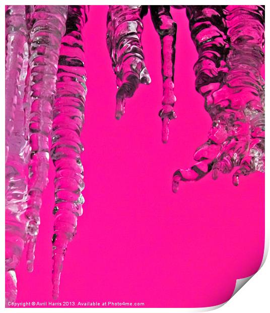Hot Pink Icicles Print by Avril Harris