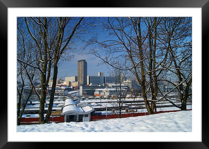 Sheffield viewed from Park Hill Framed Mounted Print by Darren Galpin