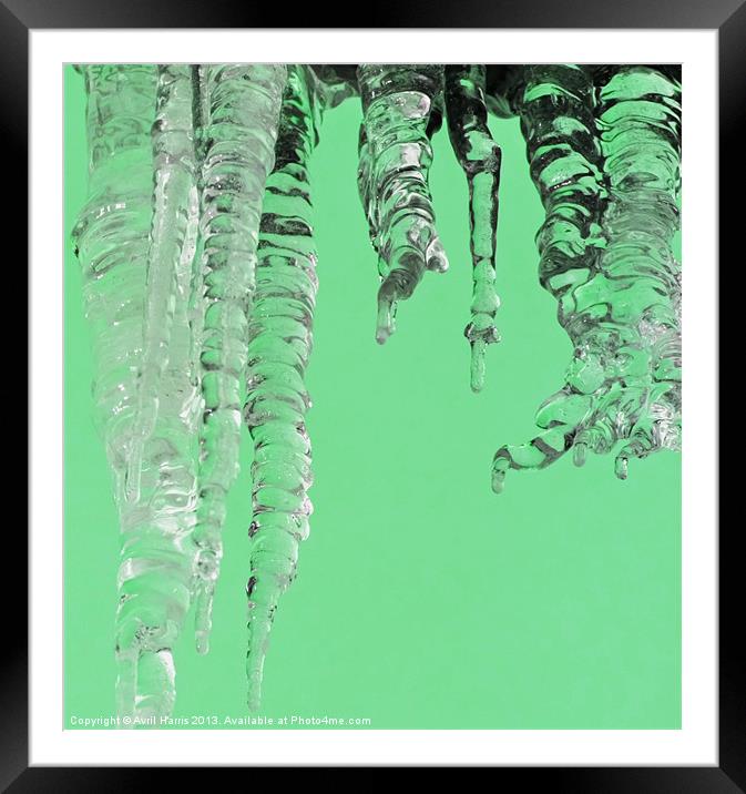 Minted icicles Framed Mounted Print by Avril Harris