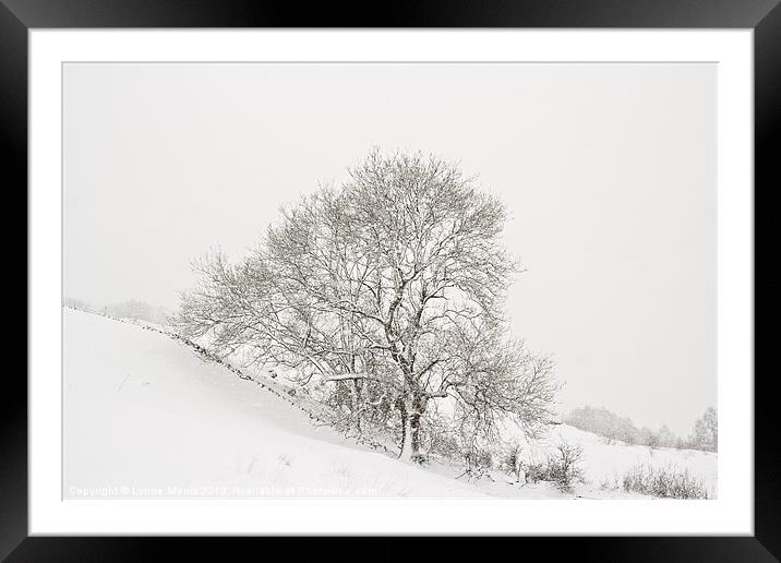 Snowy Tree Framed Mounted Print by Lynne Morris (Lswpp)